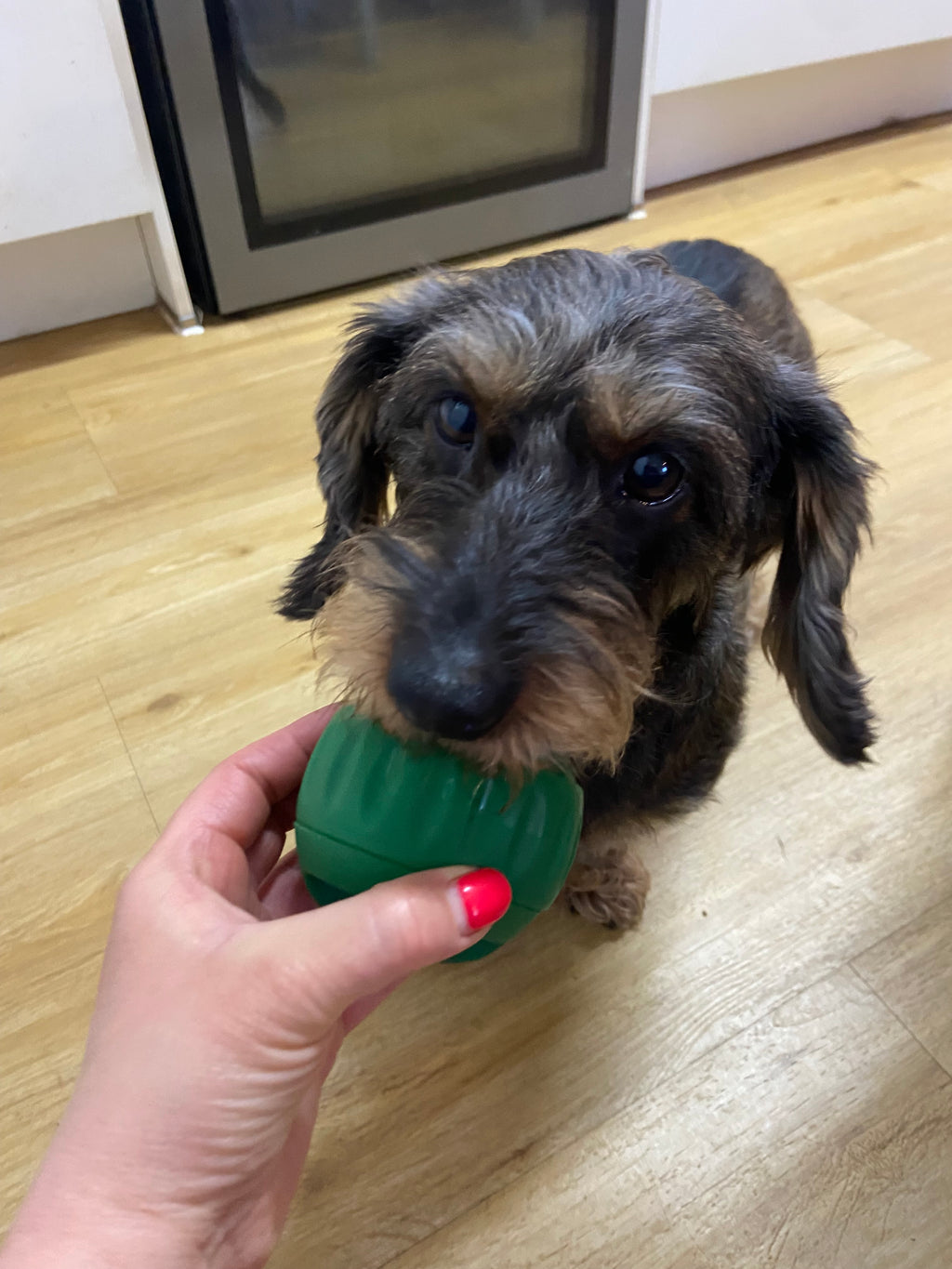PawsAdores LickiLoop Enrichment Toy