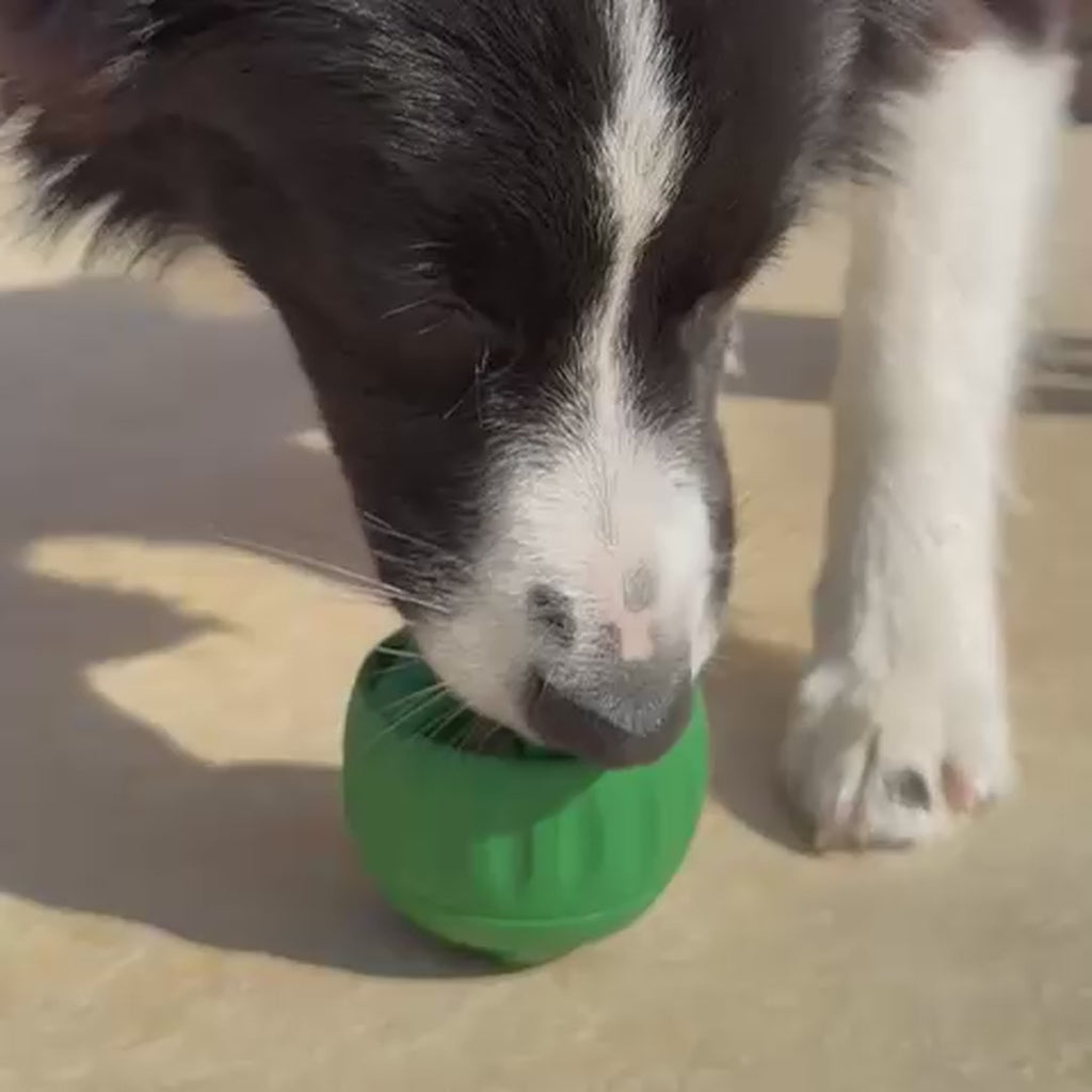 PawsAdores LickiLoop frozen enrichment toy