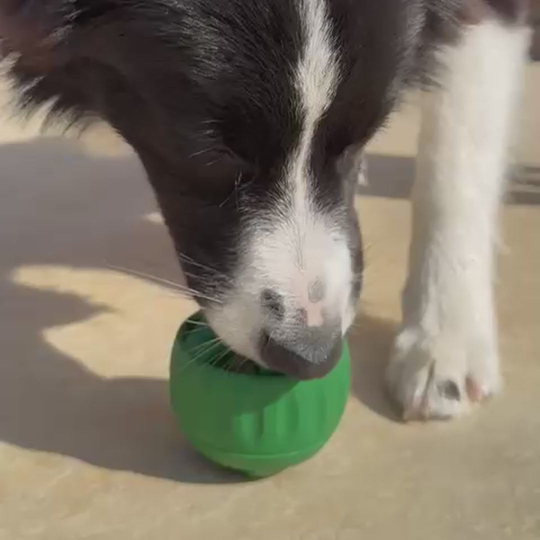 PawsAdores LickiLoop frozen enrichment toy