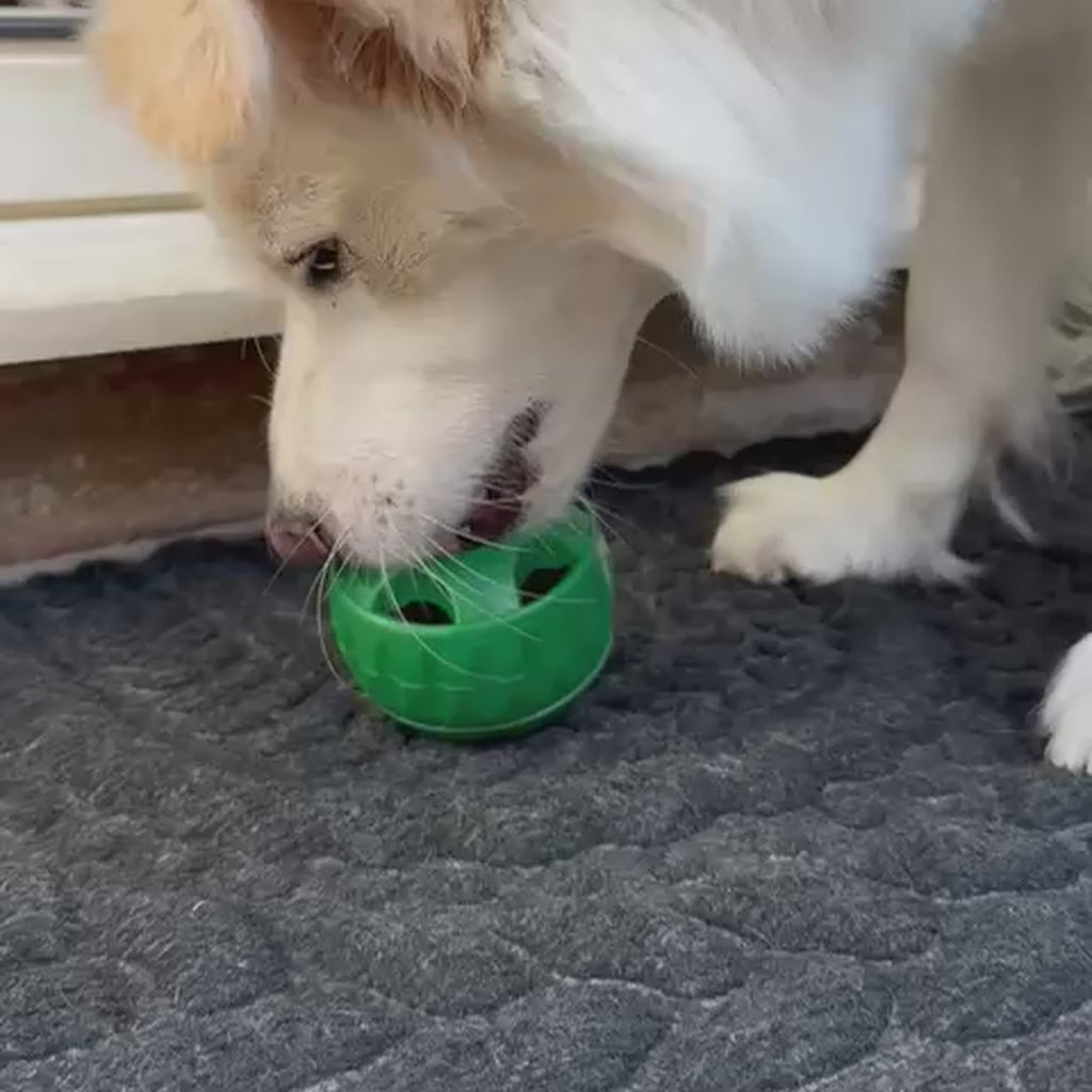 PawsAdores LickiLoop frozen enrichment toy